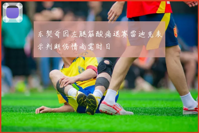 东契奇因左腿筋酸痛退赛雷迪克表示判断伤情尚需时日